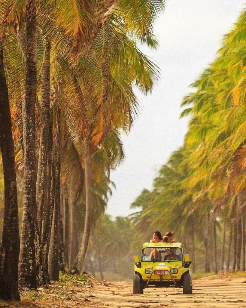 Passeio de Buggy Ponta a Ponta (duração aprox. 6hs) - Imagem 9
