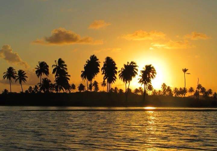 Passeio de Buggy Ponta a Ponta (duração aprox. 6hs) - Imagem 8