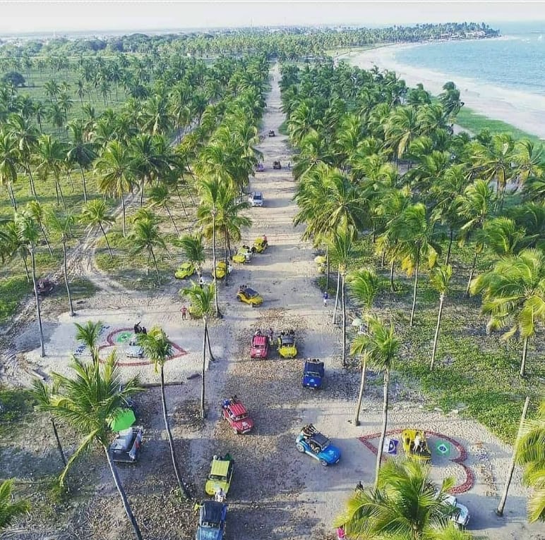 Passeio de Buggy Ponta a Ponta (duração aprox. 6hs) - Imagem 7