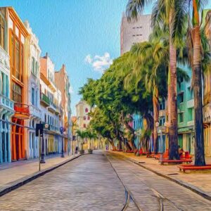 City Tour Recife e Olinda (REC)