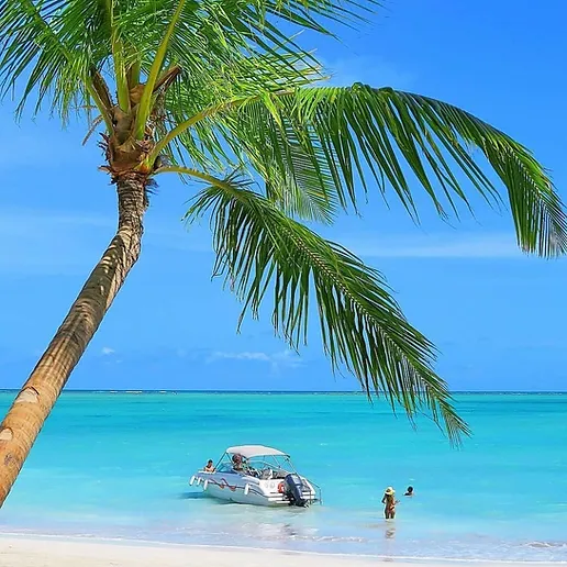 Praia de Maragogi com Lancha - Imagem 2