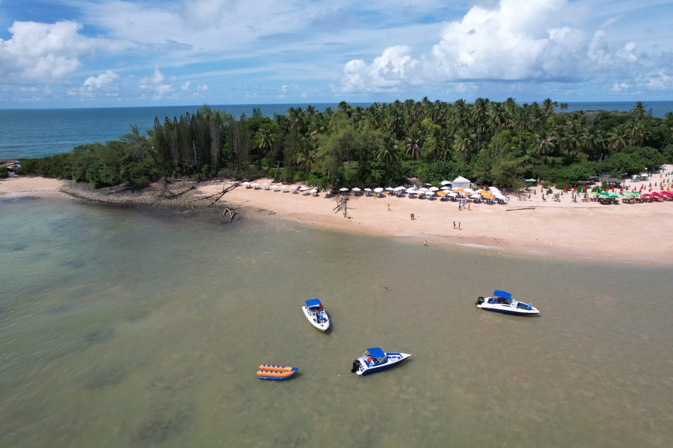 Ilha de Santo Aleixo - Imagem 7