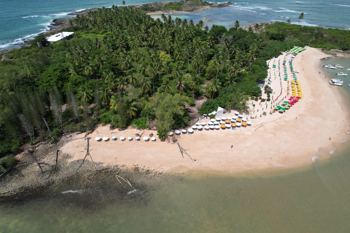 Ilha de Santo Aleixo - Imagem 5