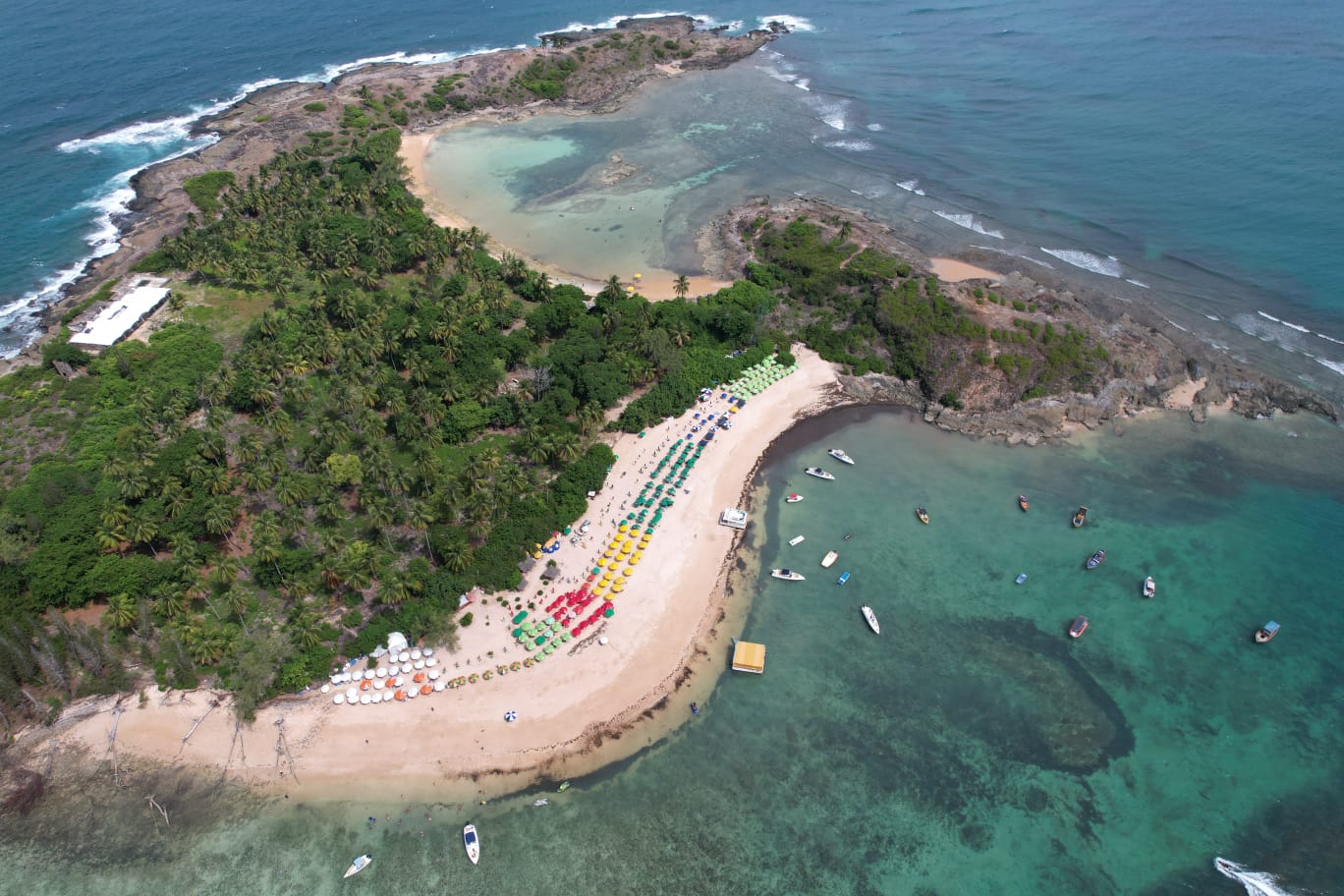 Ilha de Santo Aleixo - Imagem 4