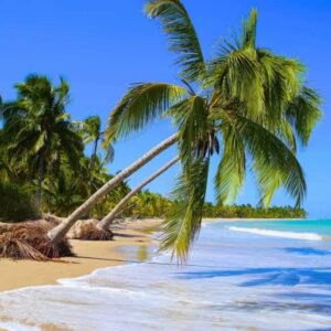 São Miguel dos Milagres com Passeio de Jangada